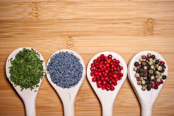 Quatro tipos diferentes de especiarias quentes em uma mistura colorida de ingredientes — Fotografia de Stock