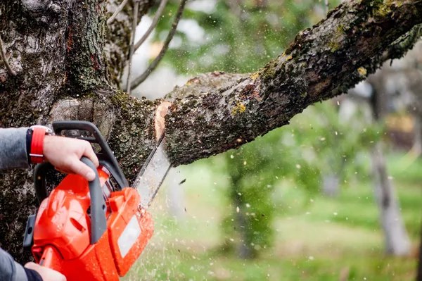 Man cutting trees using an electrical chainsaw and professional tools — Stock Photo, Image