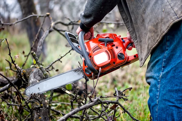 Houthakker werker, een man snijden vuur hout in forest met benzine chainsaw — Stockfoto