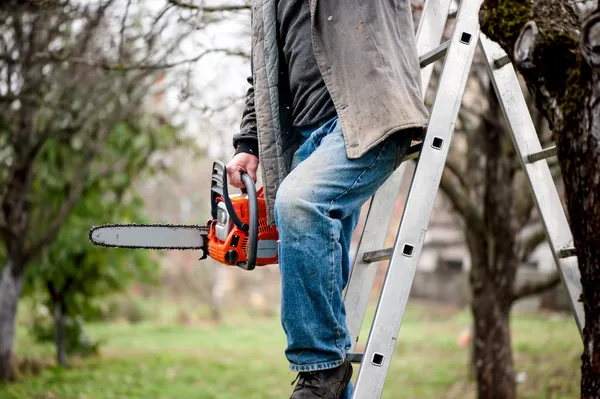 Pria memotong kayu dari pohon memanjat tangga dan menggunakan rantai — Stok Foto