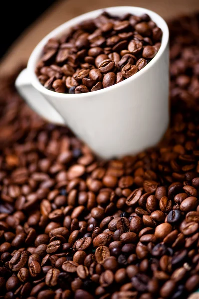 Verse witte kop van hete Braziliaanse koffie bonen — Stockfoto