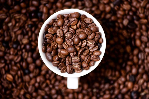 African fresh bio coffee beans with cup, detail view from top