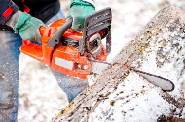 Yetişkin alt kesme ağaçlar chainsaw ve araçları