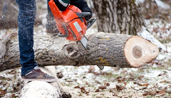 Mezőgazdasági tevékenységek - ember vágás fák láncfűrész és eszközökkel, a téli kertben — Stock Fotó