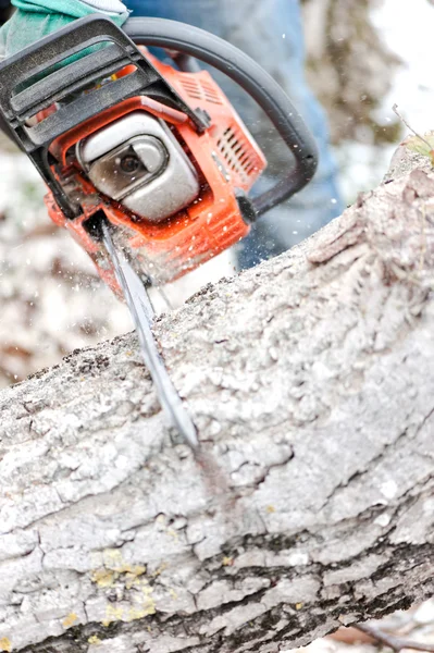 Close-up of chainsaw cutting trees and firewood for winter with snow background — Stock Photo, Image