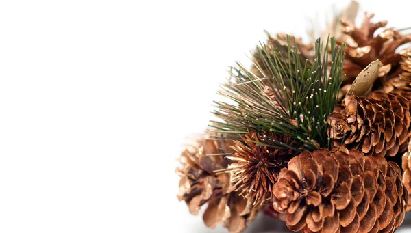 Weihnachtsdekoration mit Zapfen und Kiefern isoliert auf weißem Hintergrund — Stockfoto