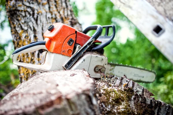 Professional chainsaw on pile of fresh cut wood or timber — Stock Photo, Image