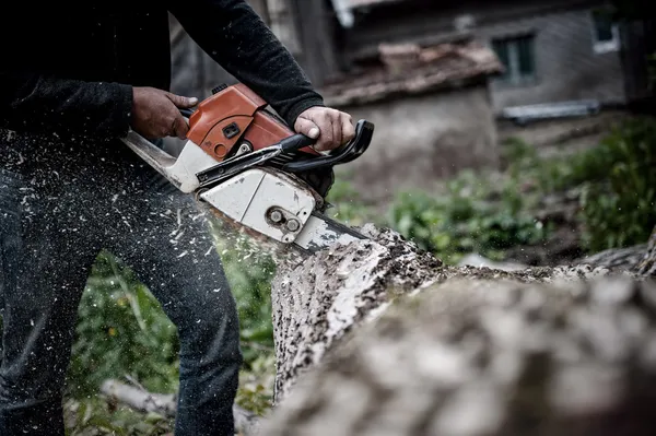 Trabajador de madera en equipo de protección completa cortando leña y madera en el bosque con una motosierra profesional —  Fotos de Stock