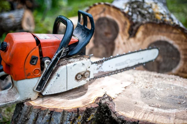 Benzine aangedreven professionele kettingzaag op stapel gesneden hout, hout hout — Stockfoto