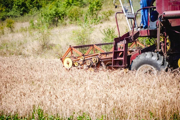 Industrial harvesting combine harvesting crops of wheat and grain — Stock Photo, Image