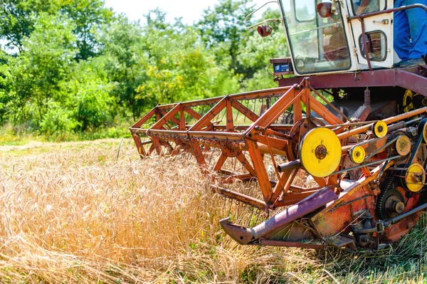 Ernteprozess mit dem Mähdrescher, das Sammeln von reifen Getreidesorten von den Feldern — Stockfoto