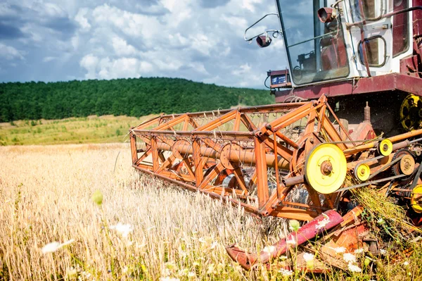 Close-up van oogsten combineren in tarwe gewassen, agro-industrie op platteland — Stockfoto