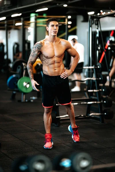 Muscular Man Posing Perfect Body Gym Portrait Professional Athlete Working — Stock Photo, Image