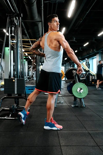 职业健康培训师和认证培训师正在锻炼 在健身房锻炼 做二头肌训练和弯曲肌肉的有肌肉吸引力的男人的画像 — 图库照片