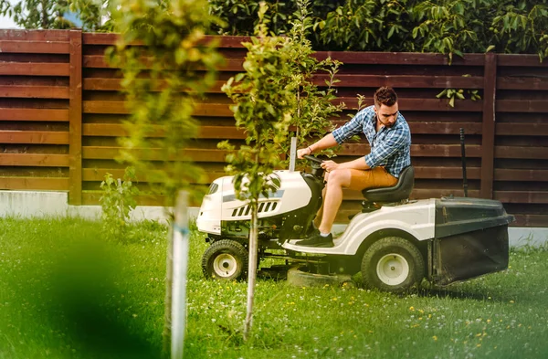 Garden Maintenance Details Close View Grass Mower — ストック写真