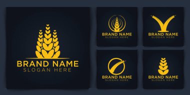 Buğday taneli tarım logosu tasarımı. vektör illüstrasyonu