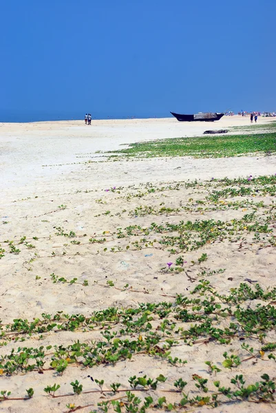 Long tail boat on beach,Goa — Stock Photo, Image