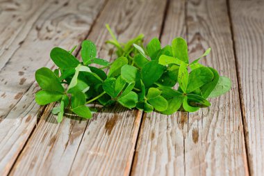 Rustik ahşap zemin üzerine taze yonca yaprağı