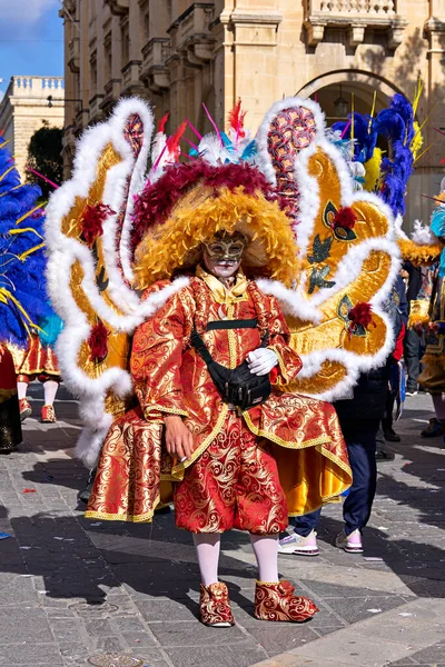 Pessoas Trajes Maquiagem Carnaval Durante Terça Feira Gorda Carnaval Mardi — Fotografia de Stock