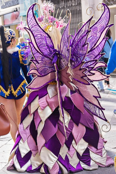Pessoas Trajes Maquiagem Carnaval Durante Terça Feira Gorda Carnaval Mardi — Fotografia de Stock