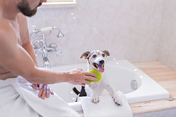 Funny Dog Shower Cap Having Fun Soap Bubbles Bathroom — Fotografia de Stock