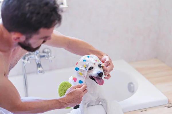 Funny Dog Shower Cap Having Fun Soap Bubbles Bathroom — Stockfoto