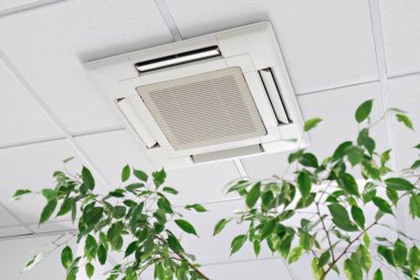 Cassette Air Conditioner on ceiling in modern light office or apartment with green ficus plant leaves. Indoor air quality and clean filters concept clipart