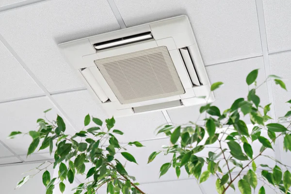 Cassette Air Conditioner on ceiling in modern light office or apartment with green ficus plant leaves. Indoor air quality and clean filters concept