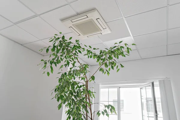 Cassette Airconditioning Plafond Modern Licht Kantoor Appartement Met Groene Ficus — Stockfoto