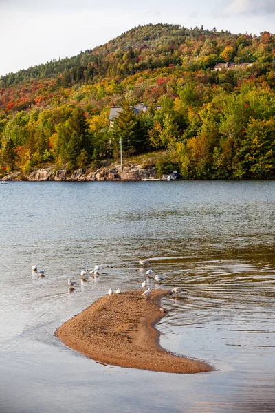 Lake Tremblant und Mont-Tremblant Dorf im Herbst mit Herbstlaub — Stockfoto