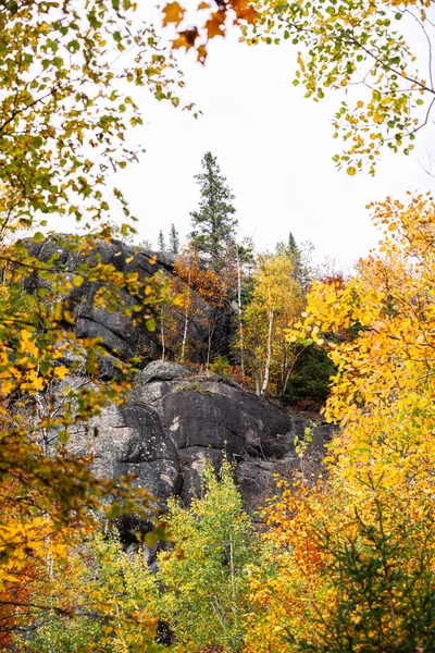 Floresta de outono na província de Quebec — Fotografia de Stock