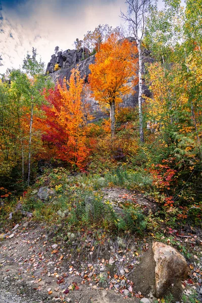 Quebec 'te sonbahar ormanı — Stok fotoğraf