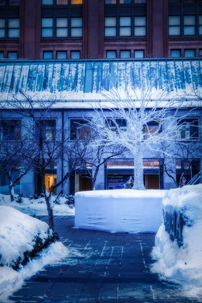 Barrio residencial en Montreal en invierno Quebec — Foto de Stock