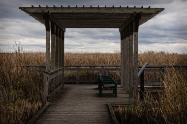 Point Pelee Ulusal Parkı 'ndaki güzel bataklık ve sahil yolu manzarası sersemletici gökyüzü ve manzara manzarası Pelee, Ontario, Kanada