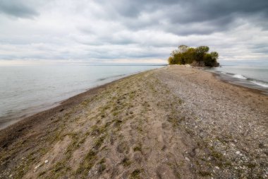 Point Pelee Ulusal Parkı Kanada Ontario 2022