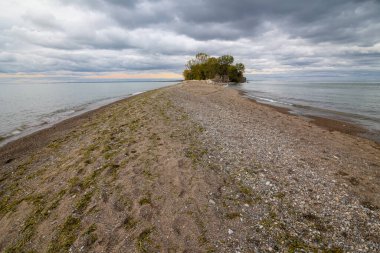 Point Pelee Ulusal Parkı Kanada Ontario 2022