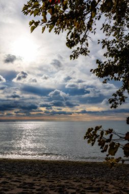 Point Pelee Ulusal Parkı Kanada Ontario 2022