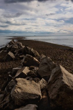 Point Pelee Ulusal Parkı Kanada Ontario 2022
