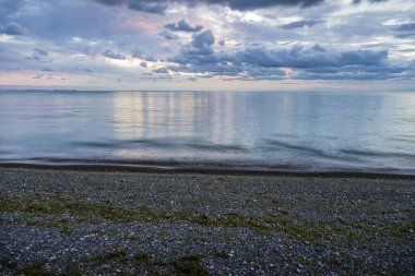 Point Pelee Ulusal Parkı Kanada Ontario