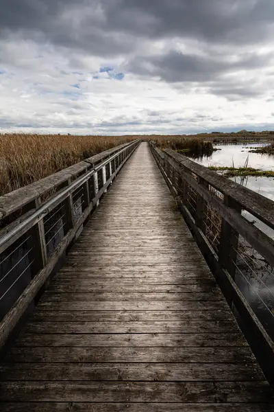 Point Pelee Ulusal Parkı 'ndaki güzel bataklık ve sahil yolu manzarası sersemletici gökyüzü ve manzara manzarası Pelee, Ontario, Kanada