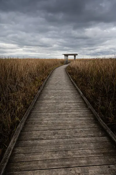 Point Pelee Ulusal Parkı 'ndaki güzel bataklık ve sahil yolu manzarası sersemletici gökyüzü ve manzara manzarası Pelee, Ontario, Kanada