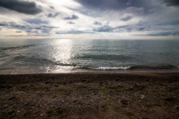 Point Pelee Ulusal Parkı Kanada Ontario 2022