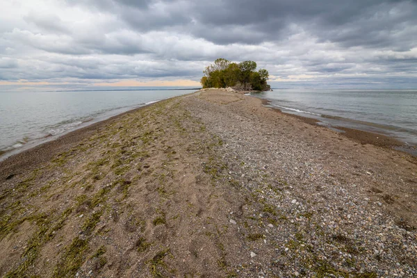 Point Pelee Ulusal Parkı Kanada Ontario 2022 — Stok fotoğraf