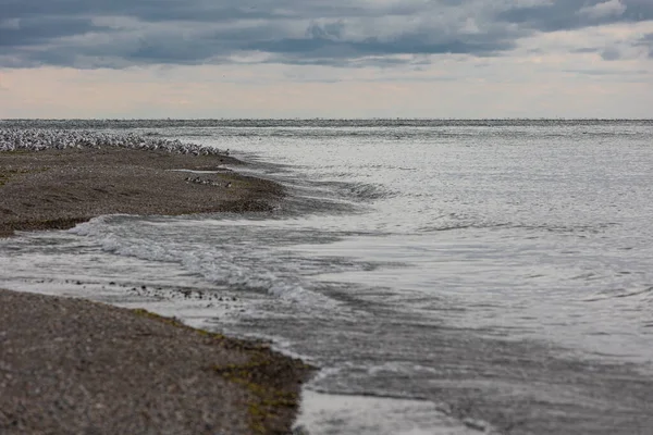 Park Narodowy Point Pelee Kanada Ontario 2022 — Zdjęcie stockowe