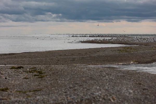 Point Pelee Nationalpark Kanada Ontario 2022 — Stockfoto