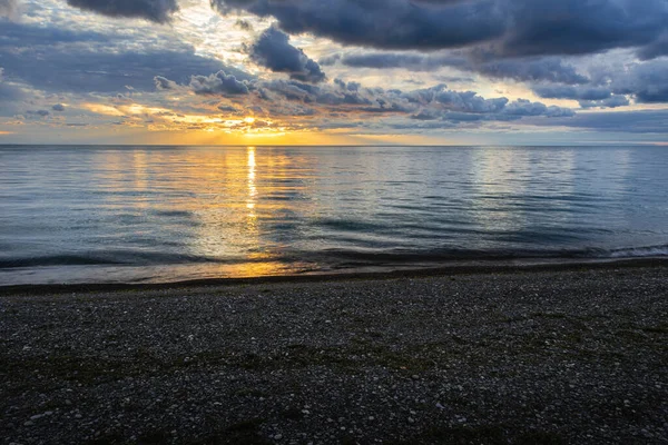 Point Pelee Ulusal Parkı Kanada Ontario