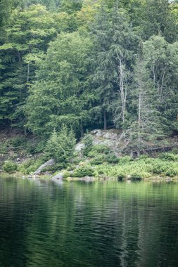 Beautiful forest reflecting on calm lake shore at Omega Park, Canada