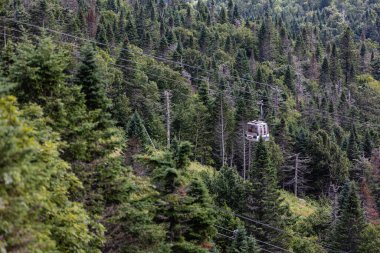 Mont Tremblan 'ın tepesinden Laurentian Dağları' nın verimli bir orman manzarası.