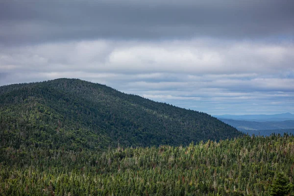 Vista Exuberante Panorama Floresta Boreal Topo Montanha Tremblan Mont Montanhas — Fotografia de Stock