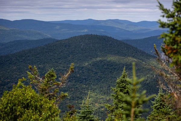 Vista Exuberante Panorama Floresta Boreal Topo Montanha Tremblan Mont Montanhas — Fotografia de Stock